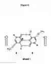 Fig. 09 - NANOPARTICLE NUCLEIC ACID BINDING COMPOUND CONJUGATES FORMING I-MOTIFS