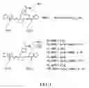 Fig. 02 - Imaging Agents and Methods