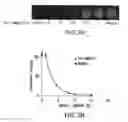 Fig. 04 - Imaging Agents and Methods