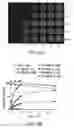 Fig. 05 - Imaging Agents and Methods