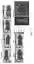 Fig. 13 - Imaging Agents and Methods