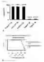 Fig. 10 - METHODS AND COMPOSITIONS FOR THE TREATMENT OF PROLIFERATIVE AND PATHOGENIC DISEASES