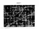 Fig. 02 - Sealants for Skin and Other Tissues