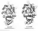 Fig. 01 - Proteins having acquired A-galactosidase activity