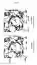 Fig. 04 - Proteins having acquired A-galactosidase activity