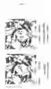 Fig. 09 - Proteins having acquired A-galactosidase activity