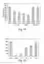 Fig. 02 - PROTEASE INHIBITION