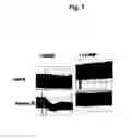 Fig. 02 - Compounds and methods for the treatment of vascular disease