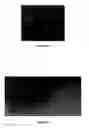 Fig. 04 - Compositions for Protein Delivery and Methods of Use Thereof