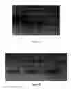 Fig. 06 - Compositions for Protein Delivery and Methods of Use Thereof