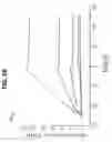 Fig. 07 - CYCLOPHILIN D-AMYLOID BETA INTERACTION POTENTIATES MITOCHONDRIAL DYSFUNCTION IN A TRANSGENIC MOUSE MODEL OF ALZHEIMER'S DISEASE