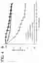 Fig. 35 - CYCLOPHILIN D-AMYLOID BETA INTERACTION POTENTIATES MITOCHONDRIAL DYSFUNCTION IN A TRANSGENIC MOUSE MODEL OF ALZHEIMER'S DISEASE