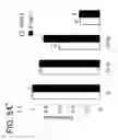Fig. 43 - CYCLOPHILIN D-AMYLOID BETA INTERACTION POTENTIATES MITOCHONDRIAL DYSFUNCTION IN A TRANSGENIC MOUSE MODEL OF ALZHEIMER'S DISEASE