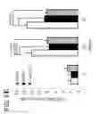 Fig. 45 - CYCLOPHILIN D-AMYLOID BETA INTERACTION POTENTIATES MITOCHONDRIAL DYSFUNCTION IN A TRANSGENIC MOUSE MODEL OF ALZHEIMER'S DISEASE