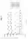Fig. 08 - Antibodies specific for DKK-1 and their uses