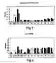 Fig. 05 - Therapeutic Agent