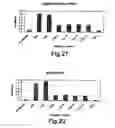 Fig. 12 - Therapeutic Agent