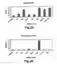 Fig. 14 - Therapeutic Agent