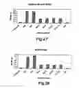 Fig. 15 - Therapeutic Agent