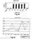 Fig. 16 - Therapeutic Agent