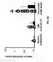 Fig. 09 - Extracellular serine protease