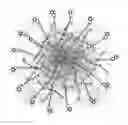 Fig. 01 - Antioxidant nanosphere comprising [1,2]-dithiolane moieties
