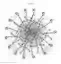 Fig. 10 - Antioxidant nanosphere comprising [1,2]-dithiolane moieties