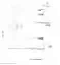 Fig. 17 - Antioxidant nanosphere comprising [1,2]-dithiolane moieties