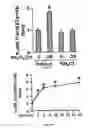 Fig. 08 - Compositions and methods for treating inflammatory arthritis