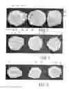 Fig. 02 - Methods for automatically making large quantities of pre-cooked eggs having a natural appearance