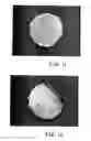 Fig. 07 - Methods for automatically making large quantities of pre-cooked eggs having a natural appearance