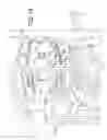 Fig. 09 - Methods for automatically making large quantities of pre-cooked eggs having a natural appearance