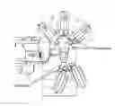 Fig. 01 - SYSTEMS AND METHODS FOR AUTOMATICALLY TRIMMING AND CORING ROMAINE LETTUCE AND OTHER HARVESTED PRODUCTS