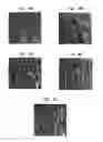 Fig. 07 - Laser-produced porous surface