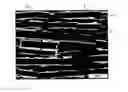 Fig. 01 - Paint composition