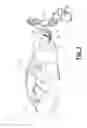 Fig. 02 - Rotary connection coupling