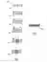 Fig. 02 - Method of Producing Multilayer Structures Having Controlled Properties