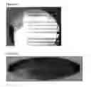 Fig. 03 - COPY PROTECTED PAPER