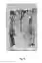 Fig. 15 - UV-CURABLE UNDERCOAT