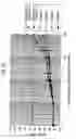 Fig. 11 - Optical recording medium and method for manufacturing the same