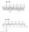 Fig. 12 - Structural color body