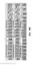 Fig. 26 - Polyurethane foam formulation, products and methods