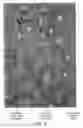 Fig. 03 - COMPOSITE LAMINATED ARTICLE AND MANUFACTURE THEREOF