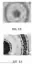 Fig. 12 - FIBER HAVING NON-UNIFORM COMPOSITION AND METHOD FOR MAKING SAME