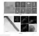 Fig. 05 - Fabrication of vertically aligned metallic nanopillars