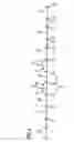 Fig. 05 - Annealable layer system