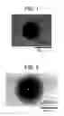 Fig. 02 - Alloy to be surface-coated and sliding members