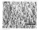 Fig. 01 - Nanostructures including a metal