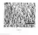 Fig. 06 - Nanostructures including a metal