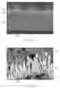 Fig. 22 - Fabrication of electrodes with multiple nanostructured thin catalytic layers